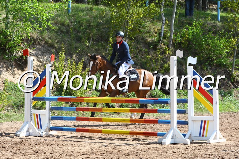 004M1787_Al Authentic_Springpferde A xx.JPG